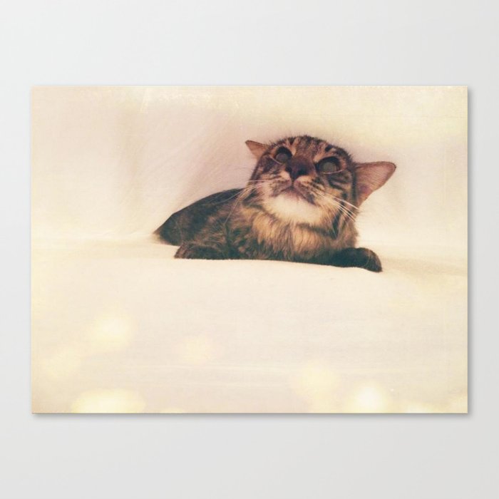 Kitty Dreams Canvas Print