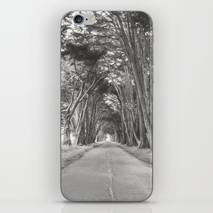 Cypress Tree Tunnel - Nature Photography iPhone Skin