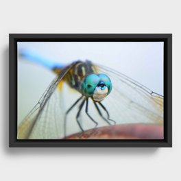 dragonfly Framed Canvas