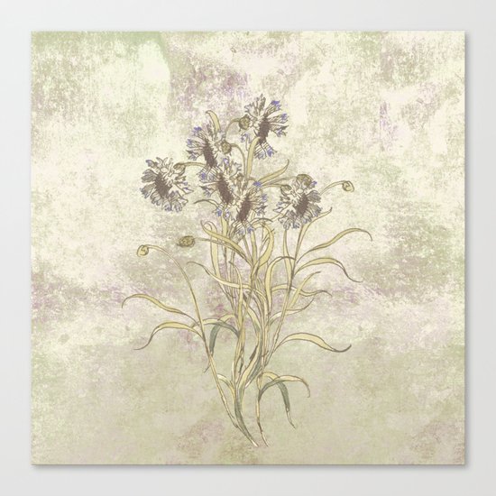 The flowers are singing Canvas Print