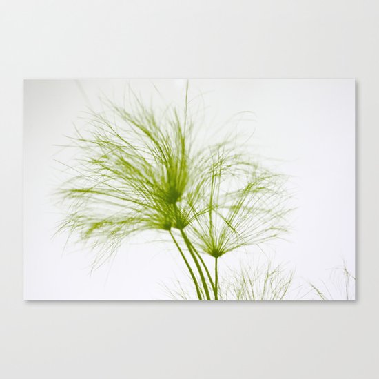 Papyrus - JUSTART (c) Canvas Print