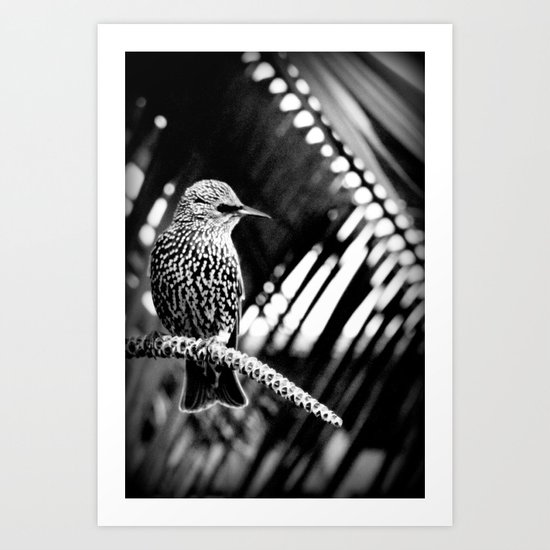 natural patterns Art Print