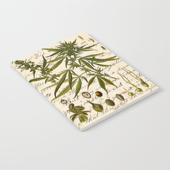 Marijuana Cannabis Botanical on Antique Journal Page Notebook