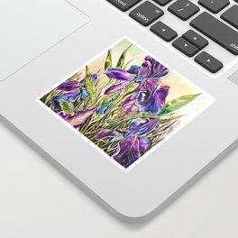 Purple Irises Sticker