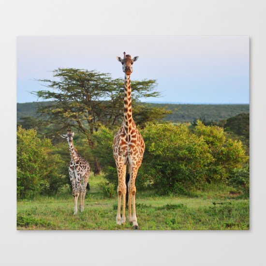 Giraffe Widlife Photography #society6 #home #decor Canvas Print
