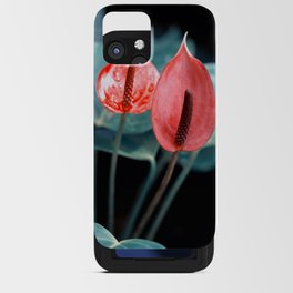 Beautiful Anthurium Flamingo Flower In Varitone Red iPhone Card Case