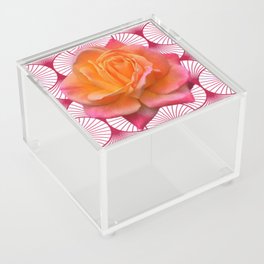 APRICOT-ORANGE ROSE ABSTRACT PATTERN ART Acrylic Box