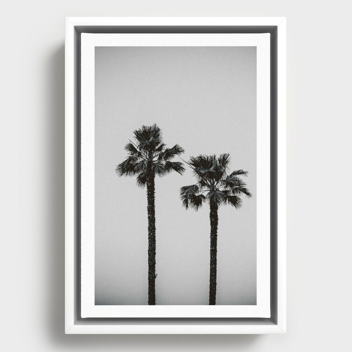 Palm Trees Framed Canvas