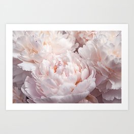 Floral Photography | Peony Pink Cluster | Flowers | Botanical | Plant Art Print