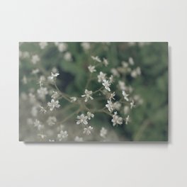 summergrass - three Metal Print | Nature, Green, Whiteflowers, Photo, White, Tinyflowers, Vintage, Flowers 