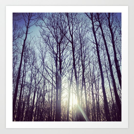 Morning sun Art Print