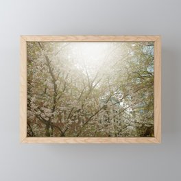 Sun Tree Framed Mini Art Print