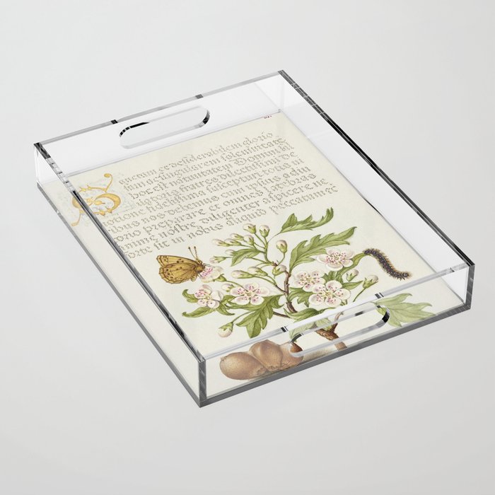 Vintage calligraphic art with green plants Acrylic Tray