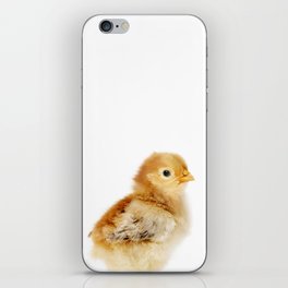 Chick, Baby Chicken, Farm Animals, Art for Kids, Baby Animals Art Print By Synplus iPhone Skin