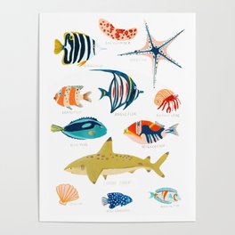 Sea Life of Fiji Poster