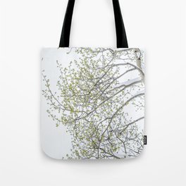 Snow on Green Leaves Tote Bag