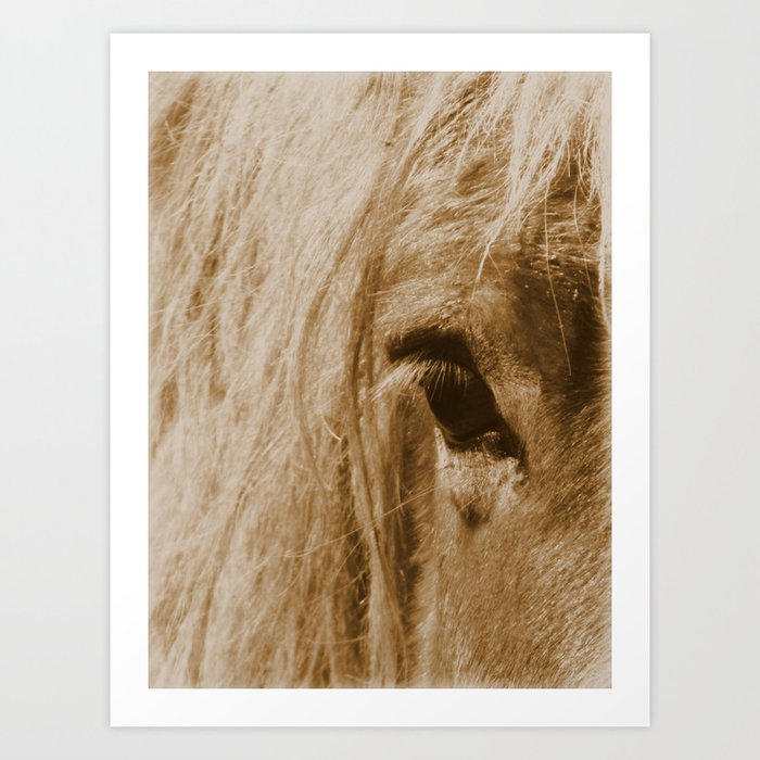 Rustic Horse Modern Country Modern Farmhouse Modern Barn Art A591