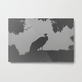 Peacock, gray tones, wildlife photography Metal Print | Peacock, Vintagefeel, Landscape, Tree, Wildernesshike, Nigeria, Bird, Peacocksilhouette, Desaturated, Wildlife 