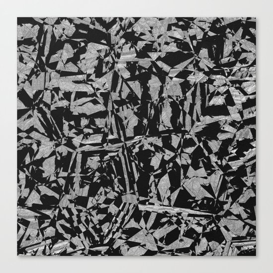 Black - Silver - Crazy Canvas Print
