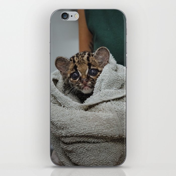 Baby ocelot at Alturas Sanctuary in Costa Rica iPhone Skin