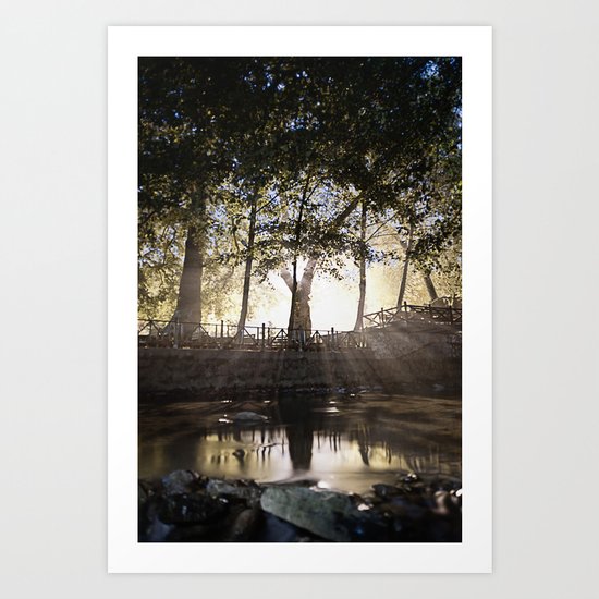 Tree Art Print