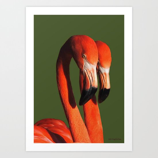 Flamingos Art Print