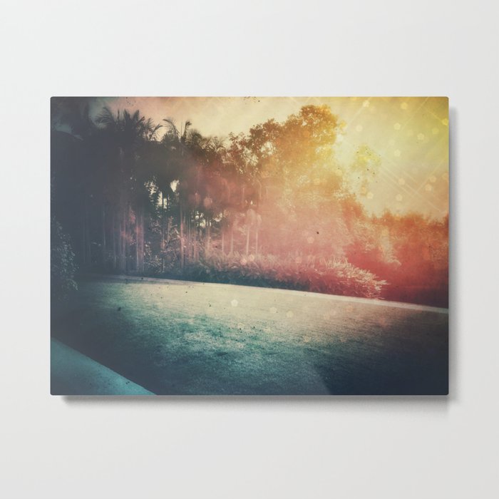 Sun Drenched Palms  Metal Print