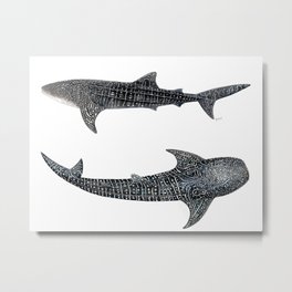 Whale sharks Metal Print
