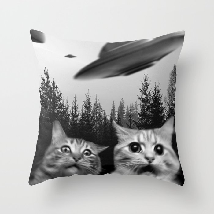 Funny cat pillows clearance