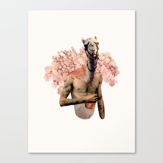 Camel Butch Canvas Print