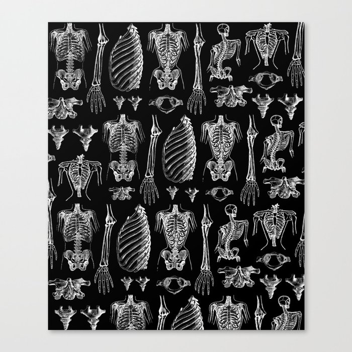 Anatomy Black & White Canvas Print