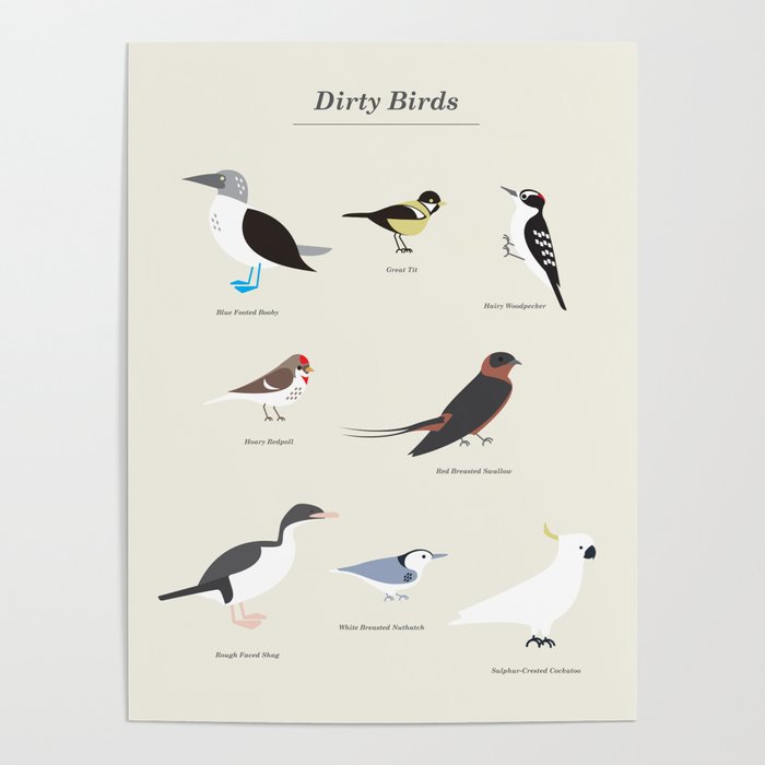 Dirty Birds Poster