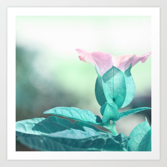 pastel flower Art Print