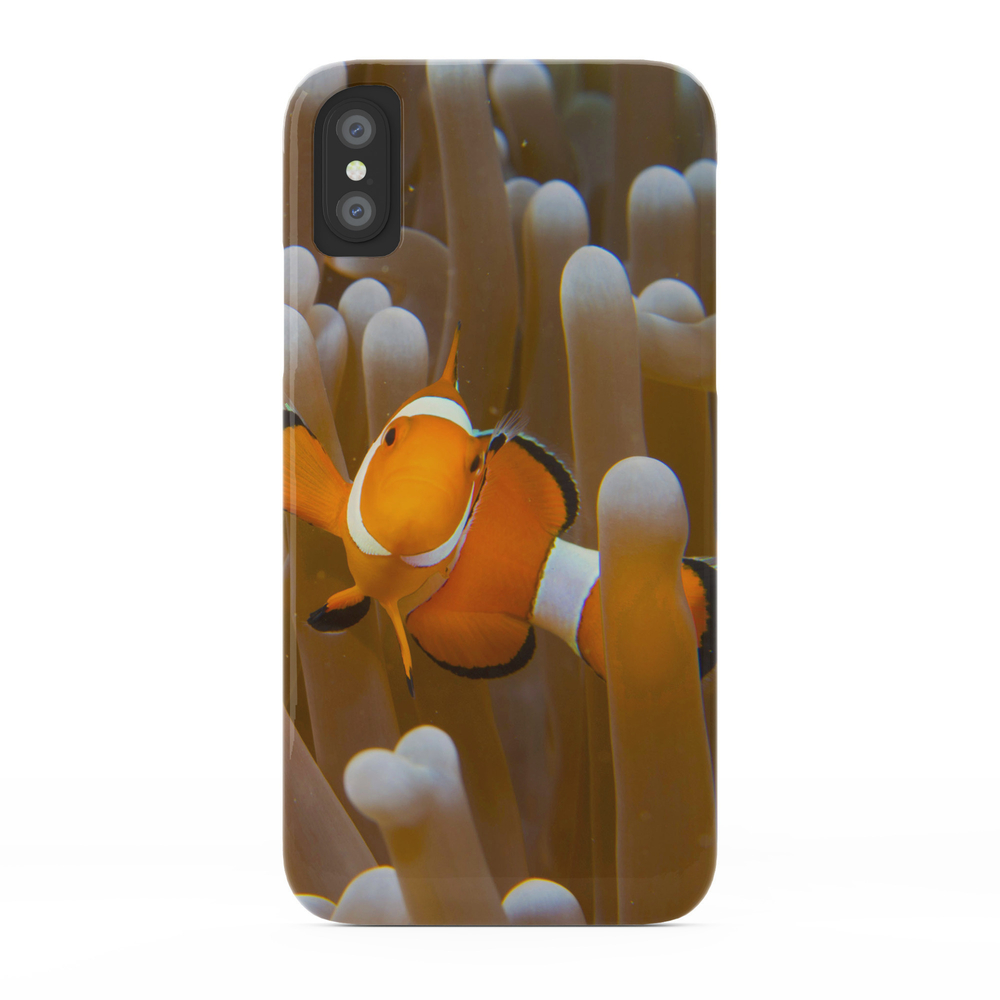 Clownfish Phone Case by arazphotography