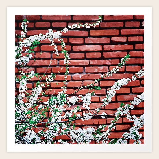 Old City Life Art Print