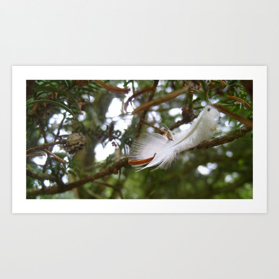 Feather Art Print