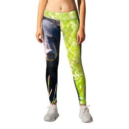 Alaskan Black Bear II Leggings