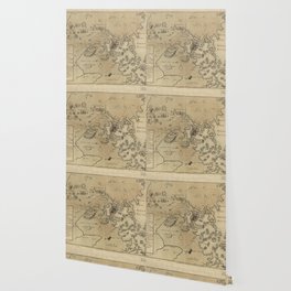 American Revolution Wallpaper For Any Decor Style Society6