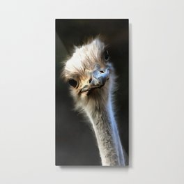 Ostrich Head Metal Print