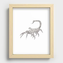 scorpion Recessed Framed Print
