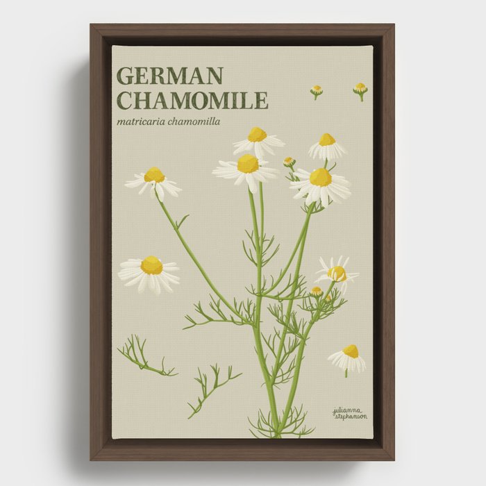 Botanical German Chamomile Framed Canvas