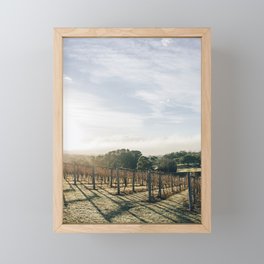 Sunny vines Framed Mini Art Print