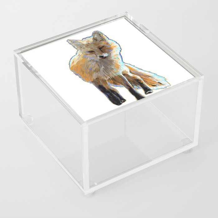 Red fox Acrylic Box