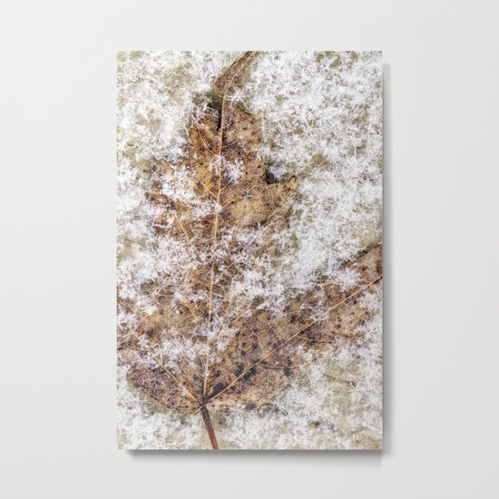 hiding Metal Print