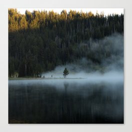 Tree in Mist Canvas Print