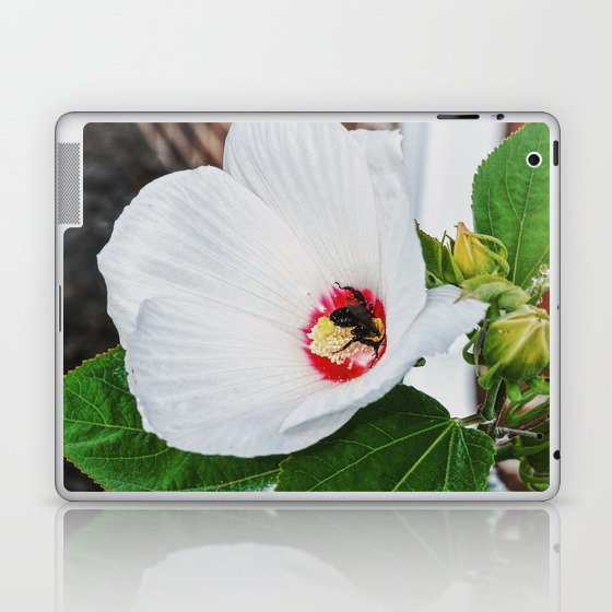 The Flower and the Bee Laptop & iPad Skin