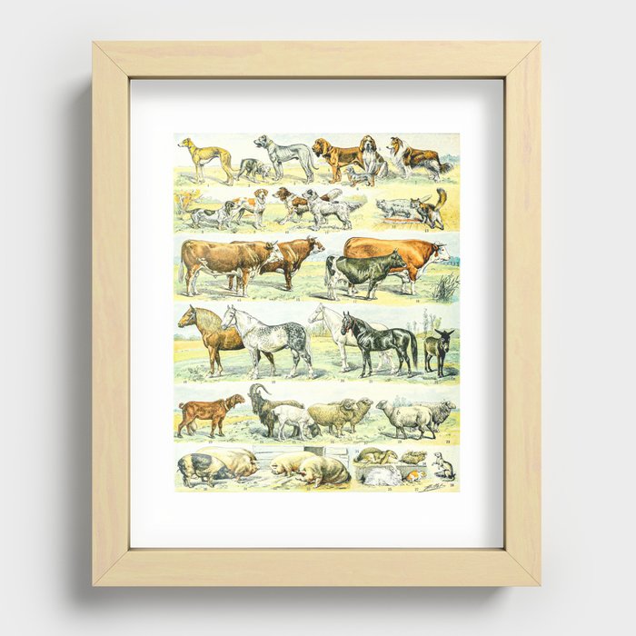 Recessed Framed Print