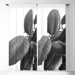 Ficus Elastica #23 #BlackAndWhite #foliage #decor #art #society6 Blackout Curtain