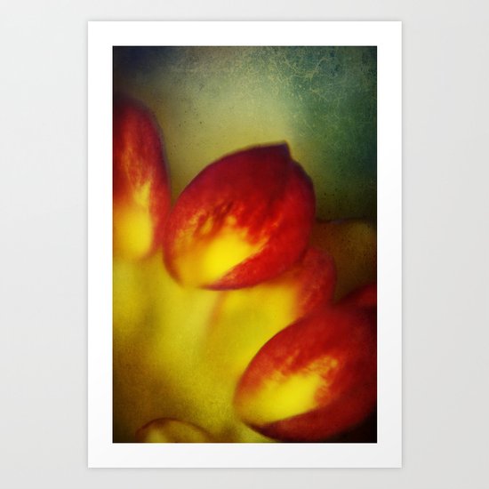 Petal Art Print