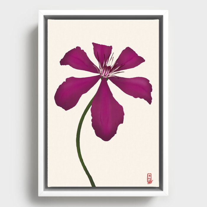 Clematis Flower Framed Canvas